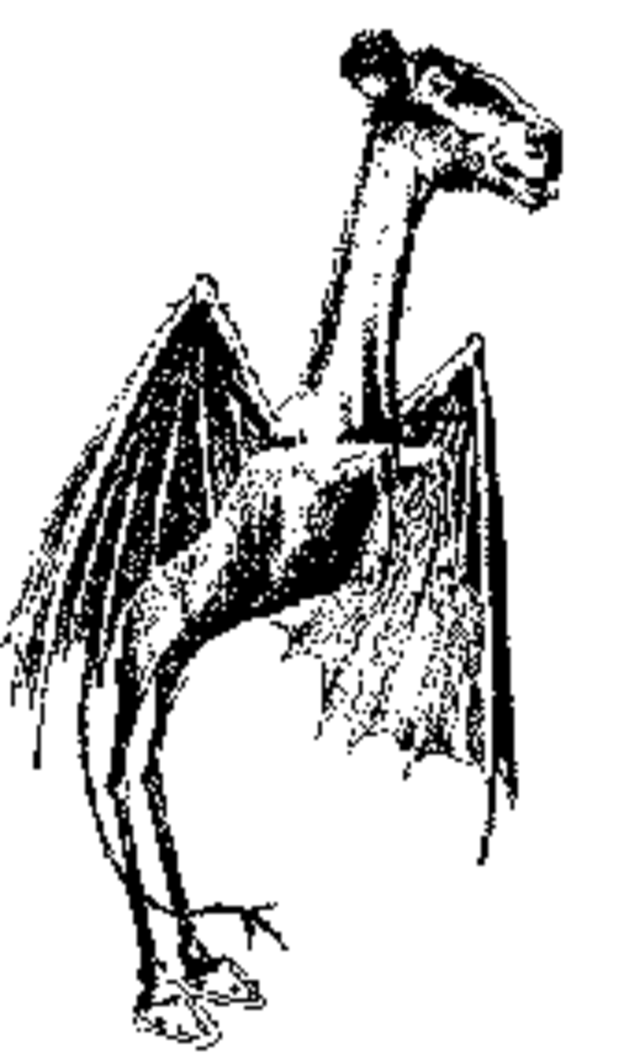 The Enigmatic Jersey Devil: Legend of the Pine Barrens